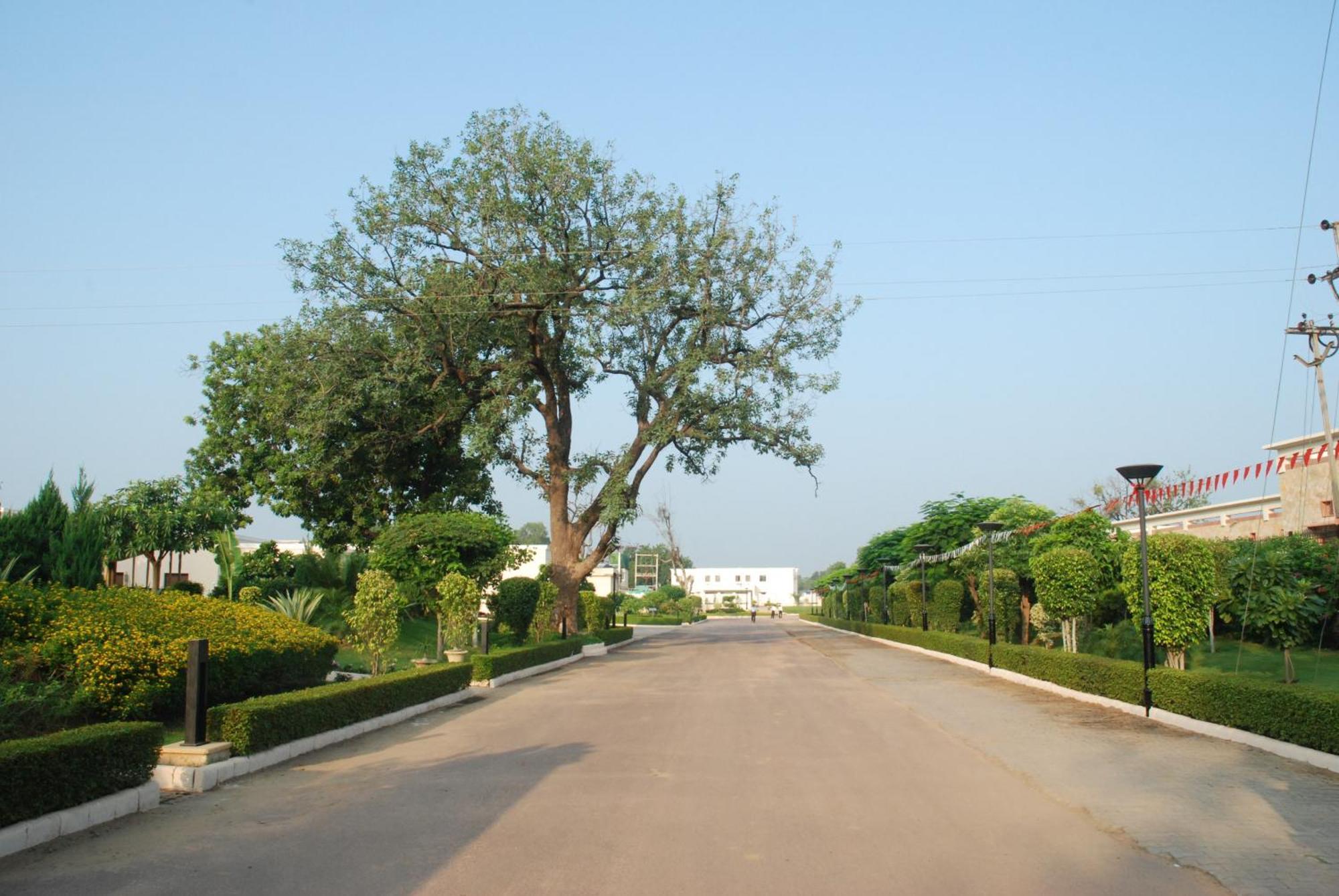 Hotel The Lalit Temple View Khajurāho Exterior foto